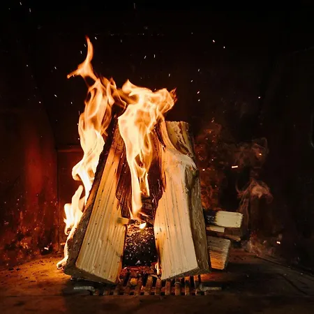 Alba Appartamento Frutigen