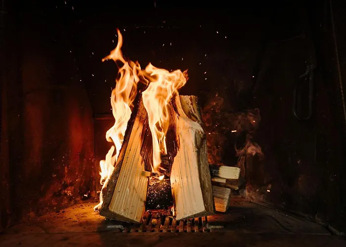 Alba Apartment Frutigen